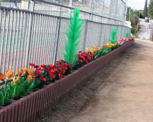 bottles garden 2