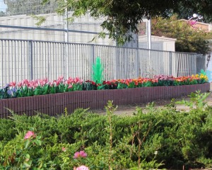 bottles garden