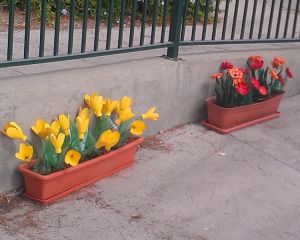outdoor_Image16