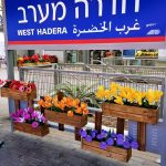 israel-train-placemaking-600-006