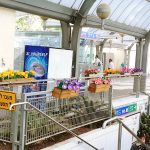 israel-train-placemaking-600-007